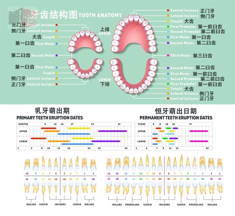 棋牌娱乐www官方网址入口