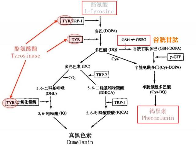 澳门太阳集团官网www