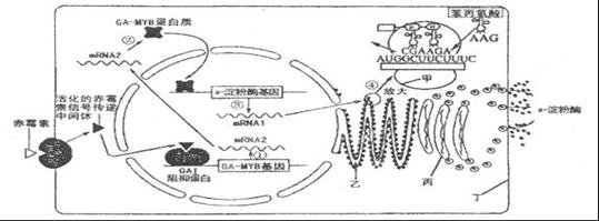 澳门太阳集团官网www